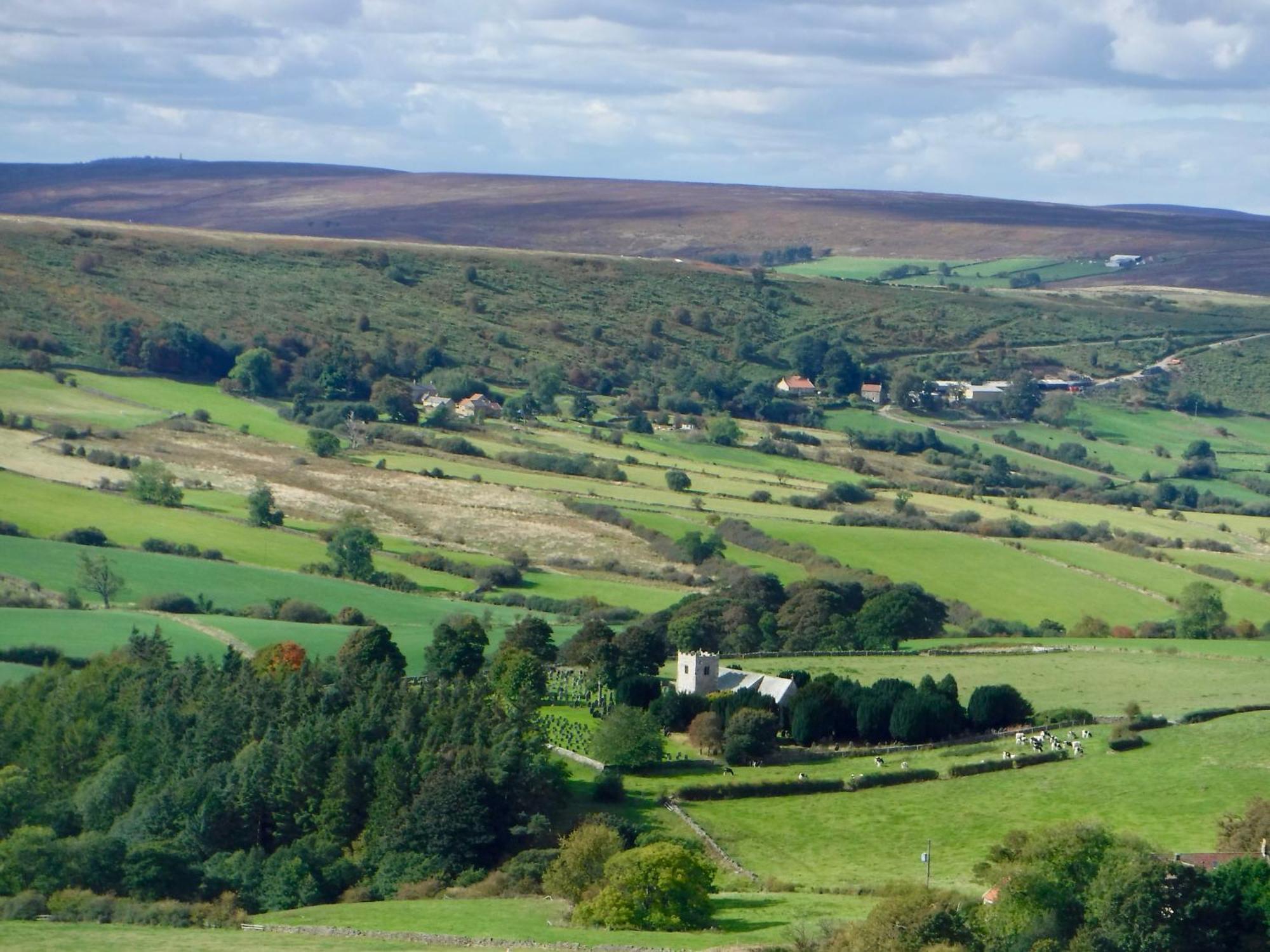 Church House Farm Danby Экстерьер фото