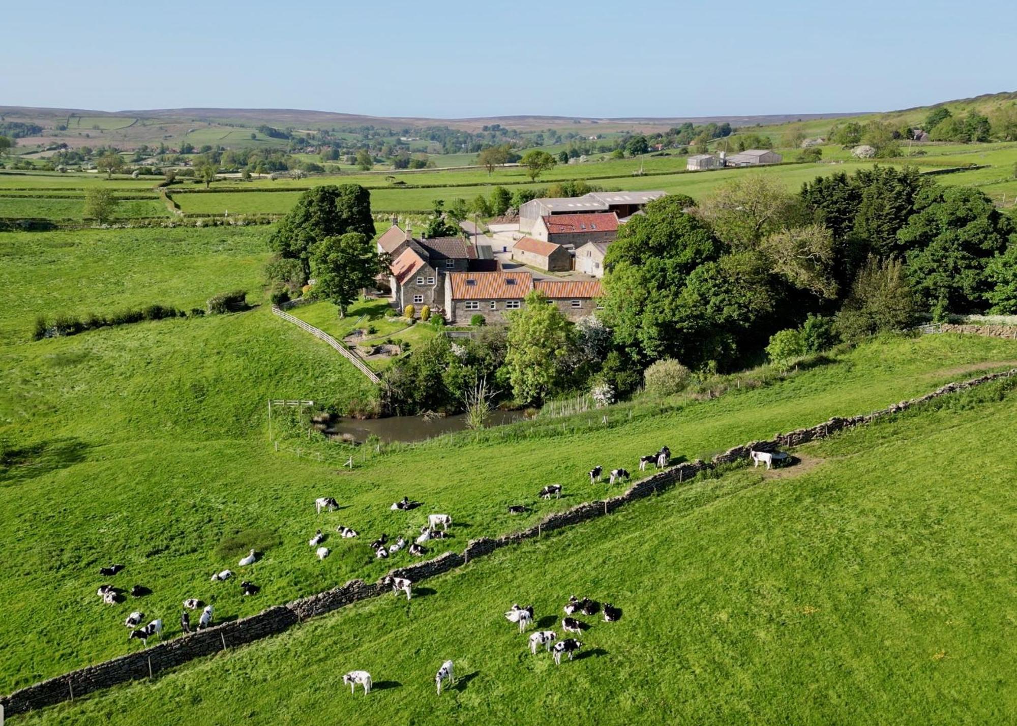 Church House Farm Danby Экстерьер фото