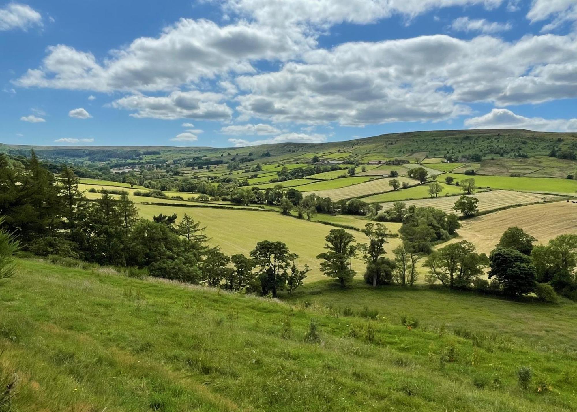 Church House Farm Danby Экстерьер фото